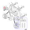 Arandela de freno tuerca cilindro Kingpost izquierdo
